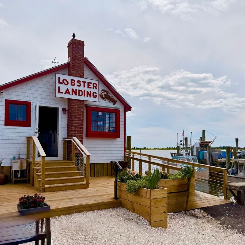Lobster Landing