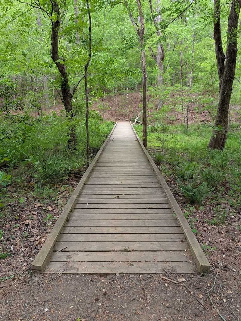 This Underrated State Park In Georgia Is So Little Known That Even Locals Don't Know It Exists - Decor Hint A True Digital Detox Destination Near Atlanta