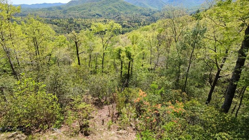 11 North Carolina Rockhounding Spots Where Crystals And Hidden Gems Wait - Decor Hint Nantahala Forest Keeps Rockhounding Wild