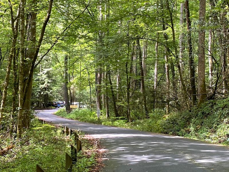 Joyce Kilmer Memorial Forest