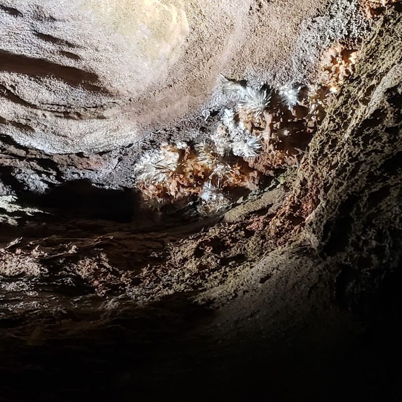 The Rare Cave Flowers Found Inside