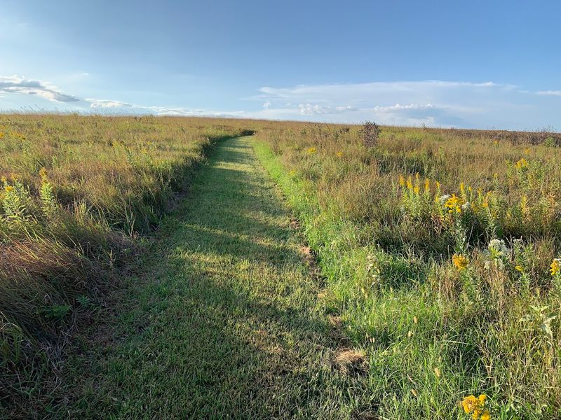 Spring Creek Prairie Audubon Center, Denton