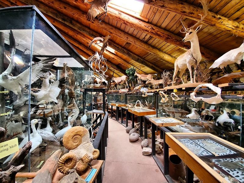 Idaho's Mammoth Cave And Natural History Museum