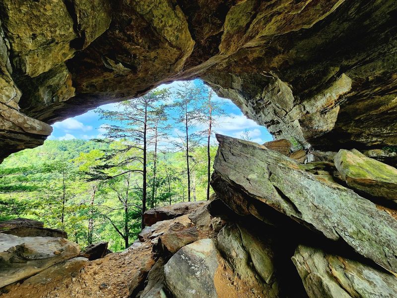 These 14 Kentucky Birdwatching Destinations Feel Like Hidden Front-Row Seats To Nature - Decor Hint Daniel Boone National Forest