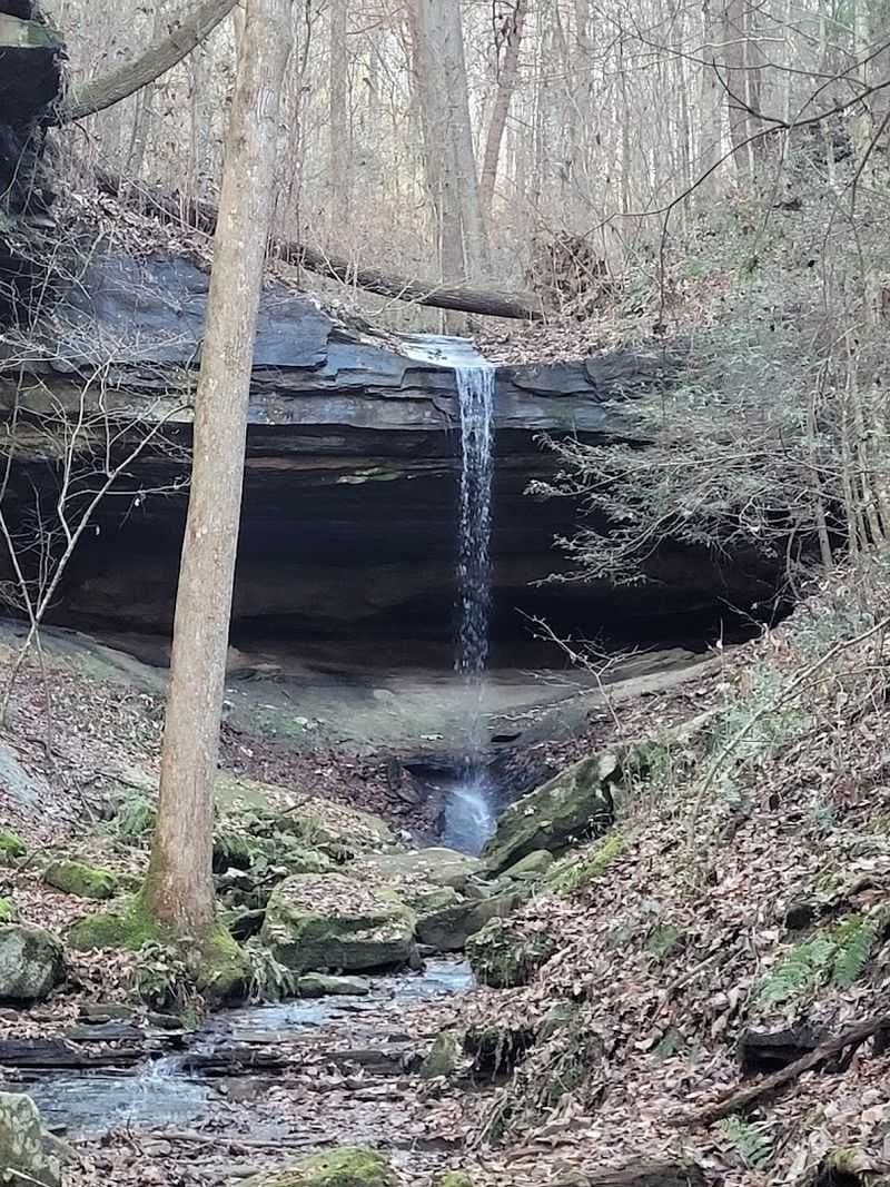 Princess Falls Trailhead