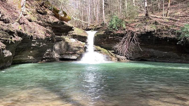 Gabe's Creek Falls