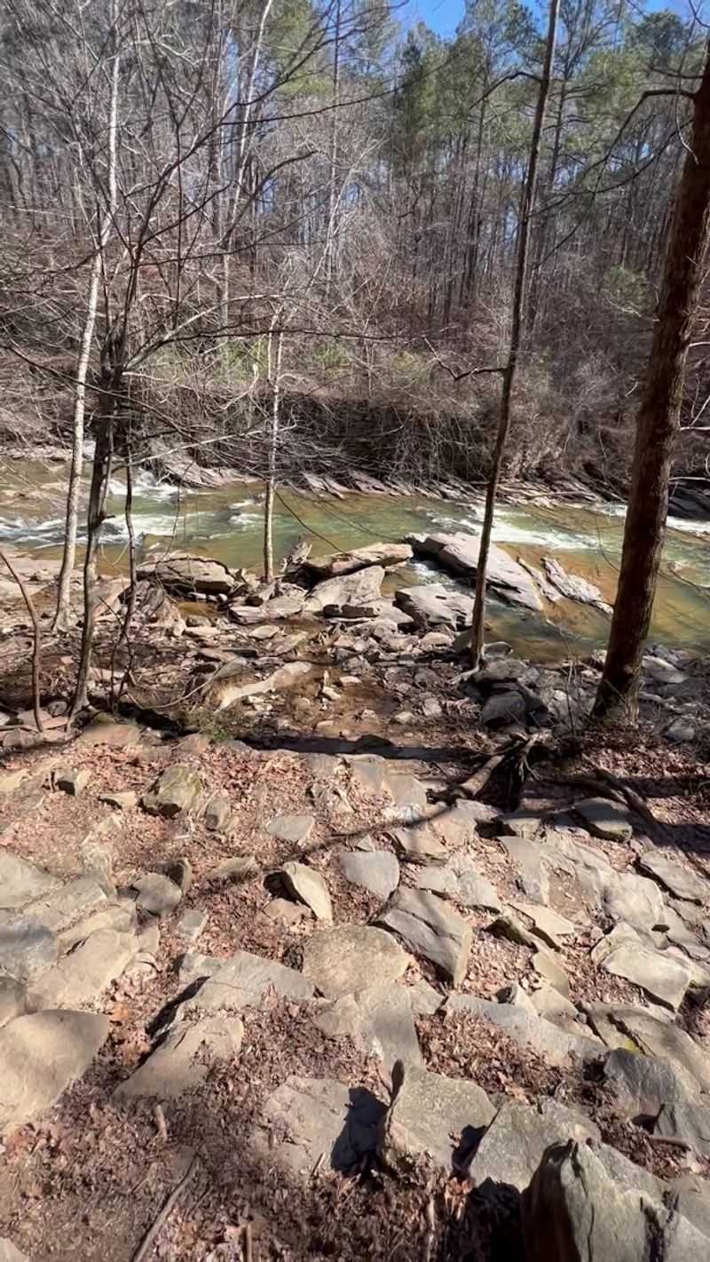 The Georgia Mountain Bike Trail That Feels Like Traveling Back In Time - Decor Hint Dog-Friendly Atmosphere That Four-Legged Friends Love