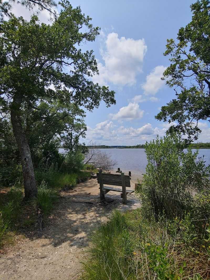 One Simple Bench Stop Makes Nature Feel Close Enough To Keep Watching