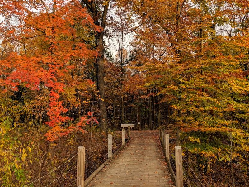 This Scenic Michigan Boardwalk Feels Like A Walk Through Another World - Decor Hint Over 12 Miles Of Trails Through Wildly Varied Terrain