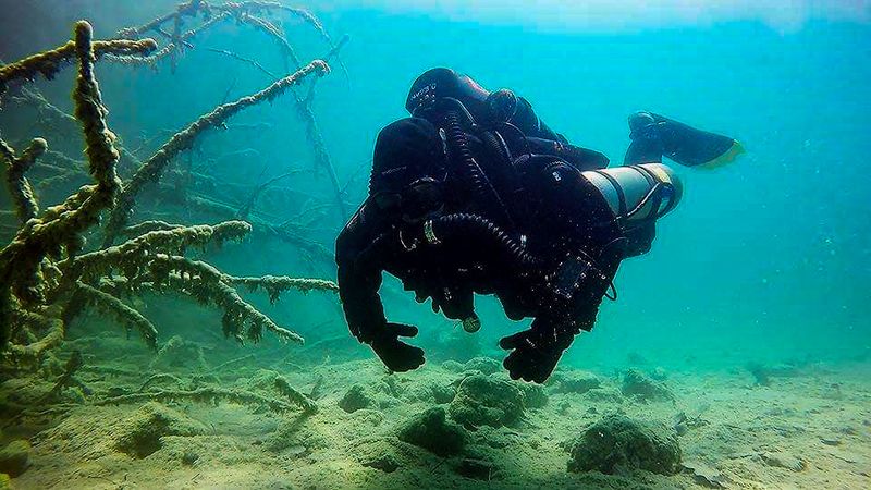This Under-The-Radar Kentucky Diving Resort Is Worth Discovering - Decor Hint Freshwater Fish That Actually Interact With Divers