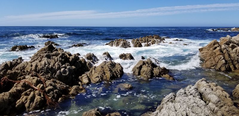 Asilomar State Beach, Pacific Grove