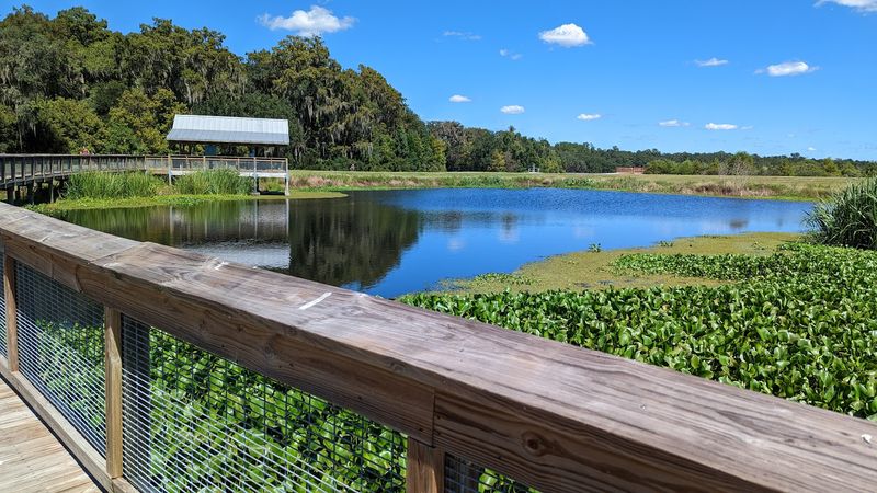 Outdoor Activities That Cost Almost Nothing