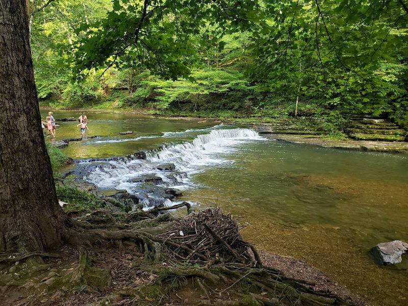 David Crockett State Park