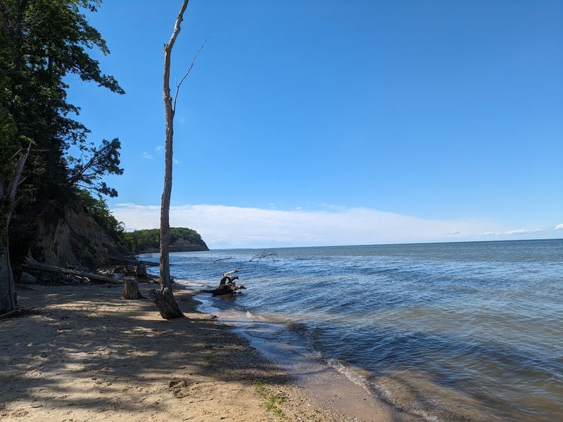 Calvert Cliffs Trail, Calvert Cliffs State Park, Lusby