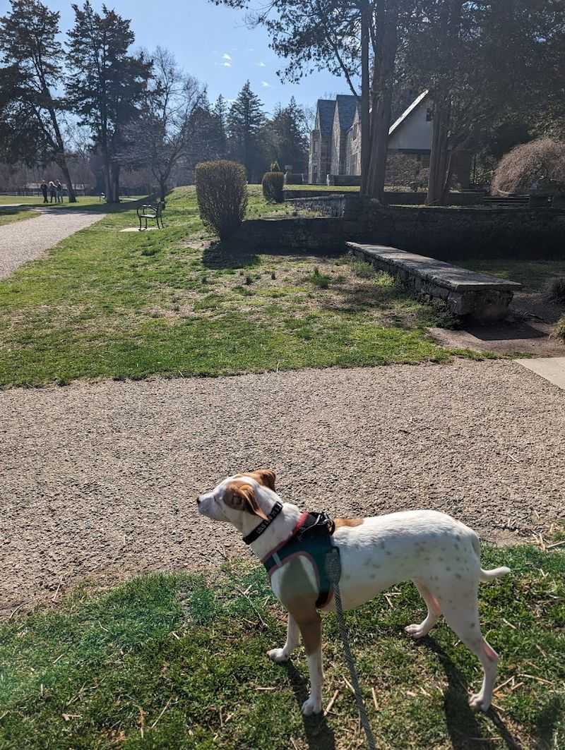 Cranbury Dog Park, Norwalk 