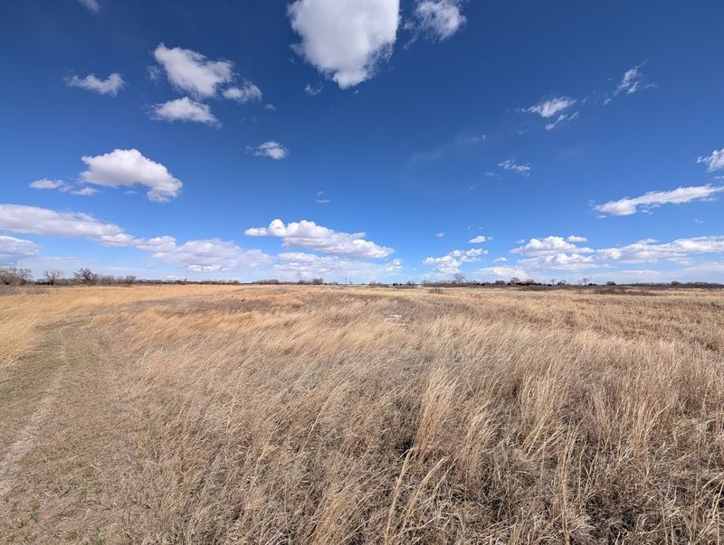 12 Nebraska's Nature Centers, Marsh Trails, And Wildlife Refuges Make The Wild Feel Surprisingly Close - Decor Hint Crane Trust Nature & Visitor Center, Wood River