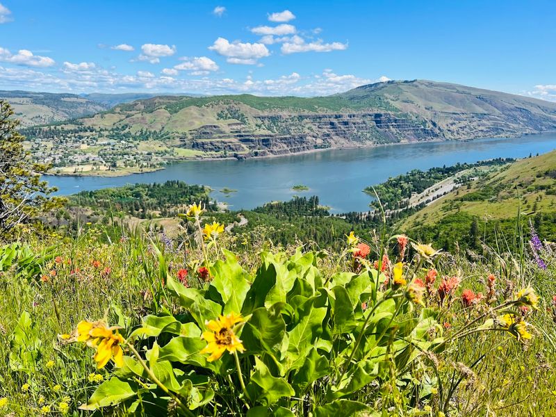 11 Oregon Mountain Views That Feel Almost Too Beautiful To Be Real - Decor Hint Rowena Crest Viewpoint