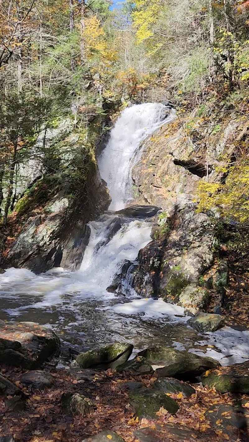 Campbell Falls State Park