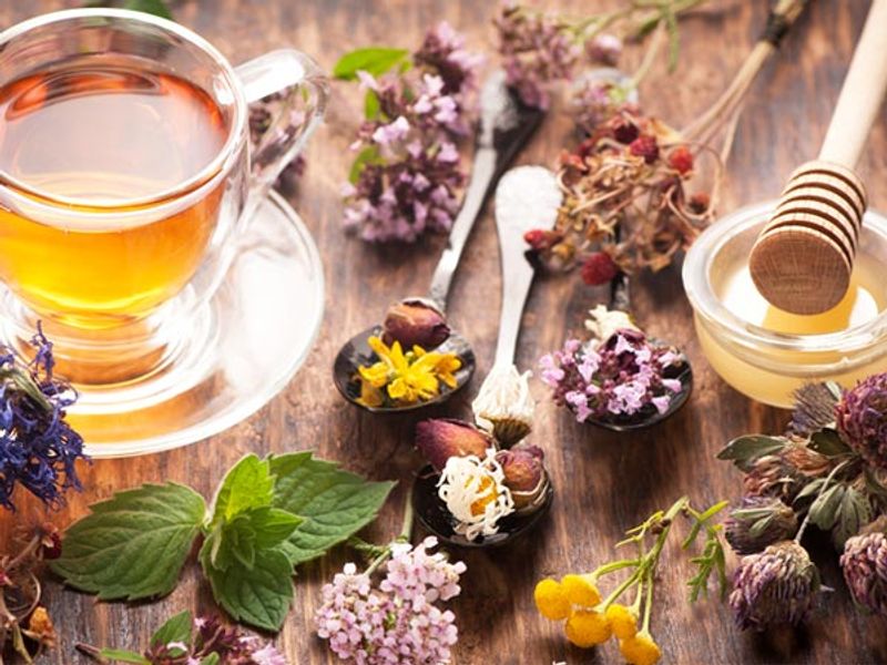 10 Charming Florida Tea Houses Where Every Cup Feels Like A Little Escape - Decor Hint Honest Living Tea House
