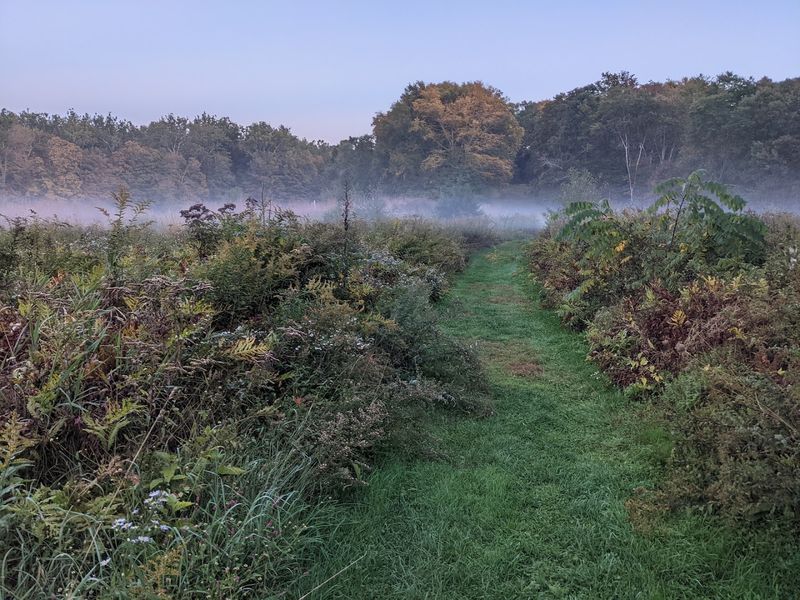 A Quiet Southbury Nature Escape