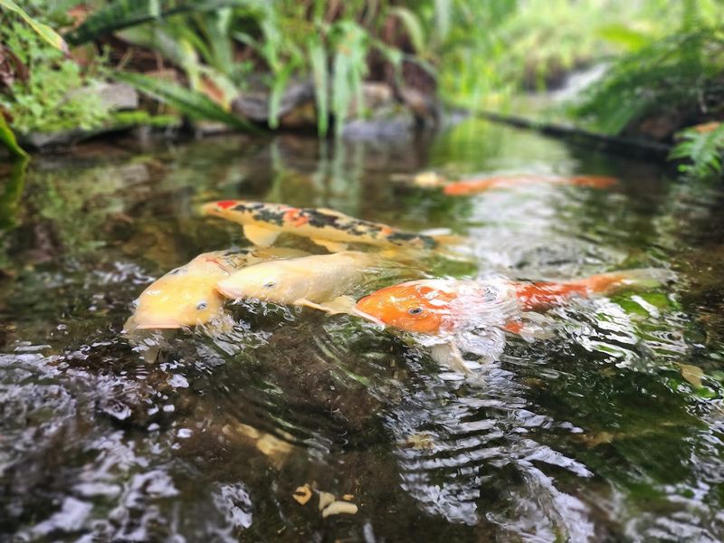 A Zoo Is Full Of Surprises