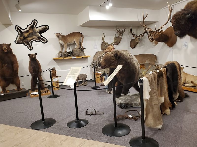 Teton Valley Historical Museum, Driggs