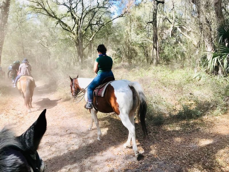 Cactus Jack's Trail Rides, Ocala