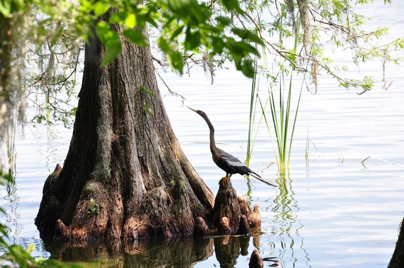 Outdoor Adventures That Go Beyond The Beach