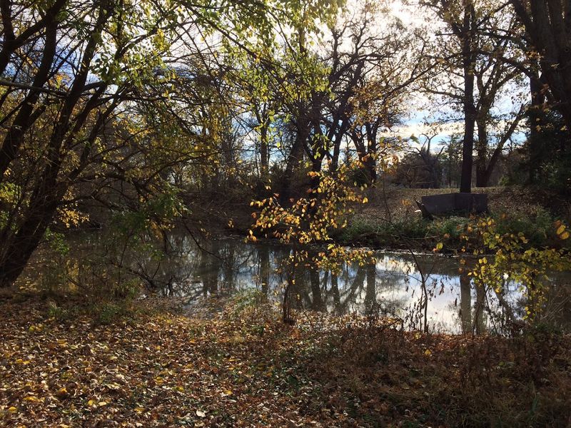The Charming Small Town In Nebraska That's Perfect For A Budget-Friendly Day Trip - Decor Hint Chautauqua Park Brings Classic Small-Town Green Space