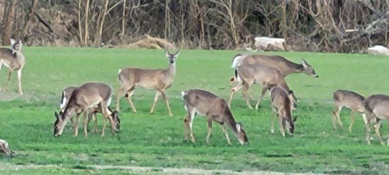 Parks And Greenways Make Fresh Air Part Of The Routine