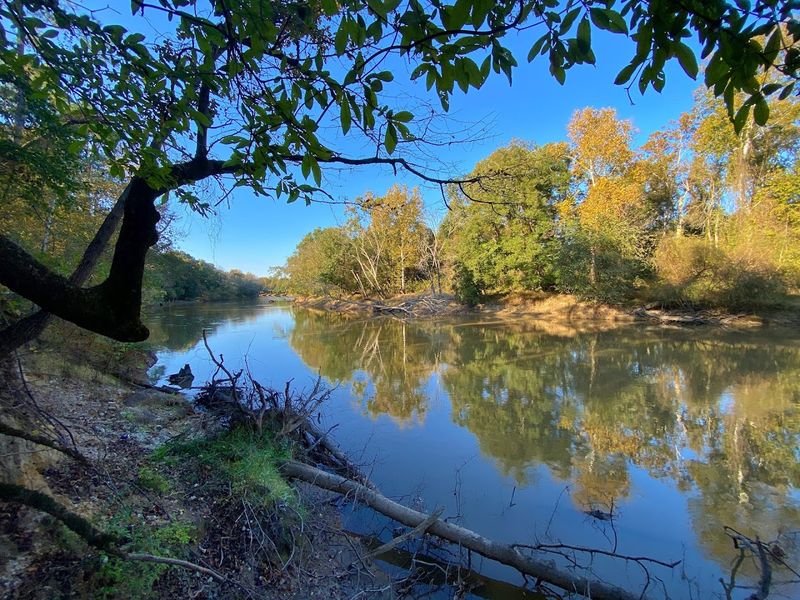 This Sleepy North Carolina Town Still Has Homes Under $150,000, And Moving There Might Make Sense - Decor Hint The Neuse River Adds A Scenic Everyday Bonus