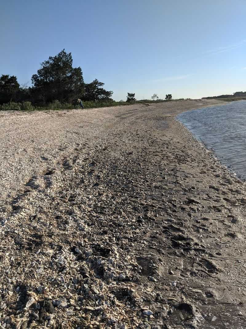 Sharktooth Beach - Jekyll Island
