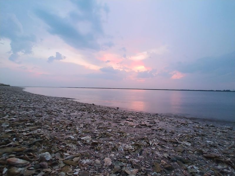 11 Georgia Coastal Beaches Where Seashell Hunters Strike Gold - Decor Hint Sharktooth Beach, Jekyll Island