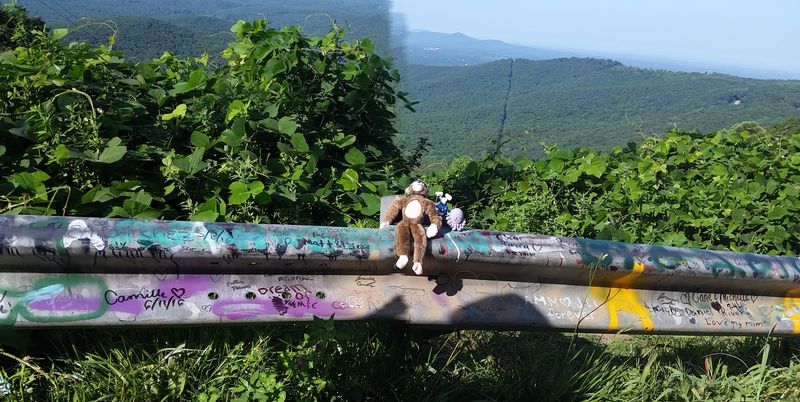 A Graffiti Culture That Adds Unexpected Character