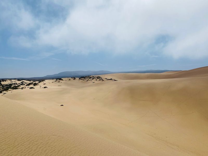 Guadalupe-Nipomo Dunes, San Luis Obispo and Santa Barbara Counties