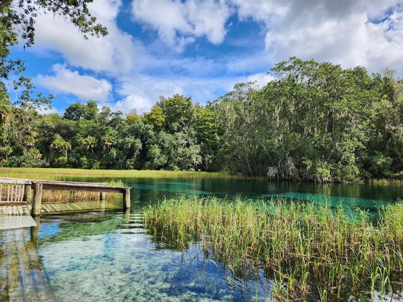 10 Budget-Friendly Florida Getaways That Feel Like A Real Vacation - Decor Hint Rainbow Springs State Park