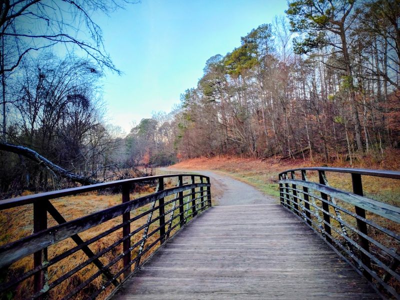 Cochran Shoals Trail River Loop
