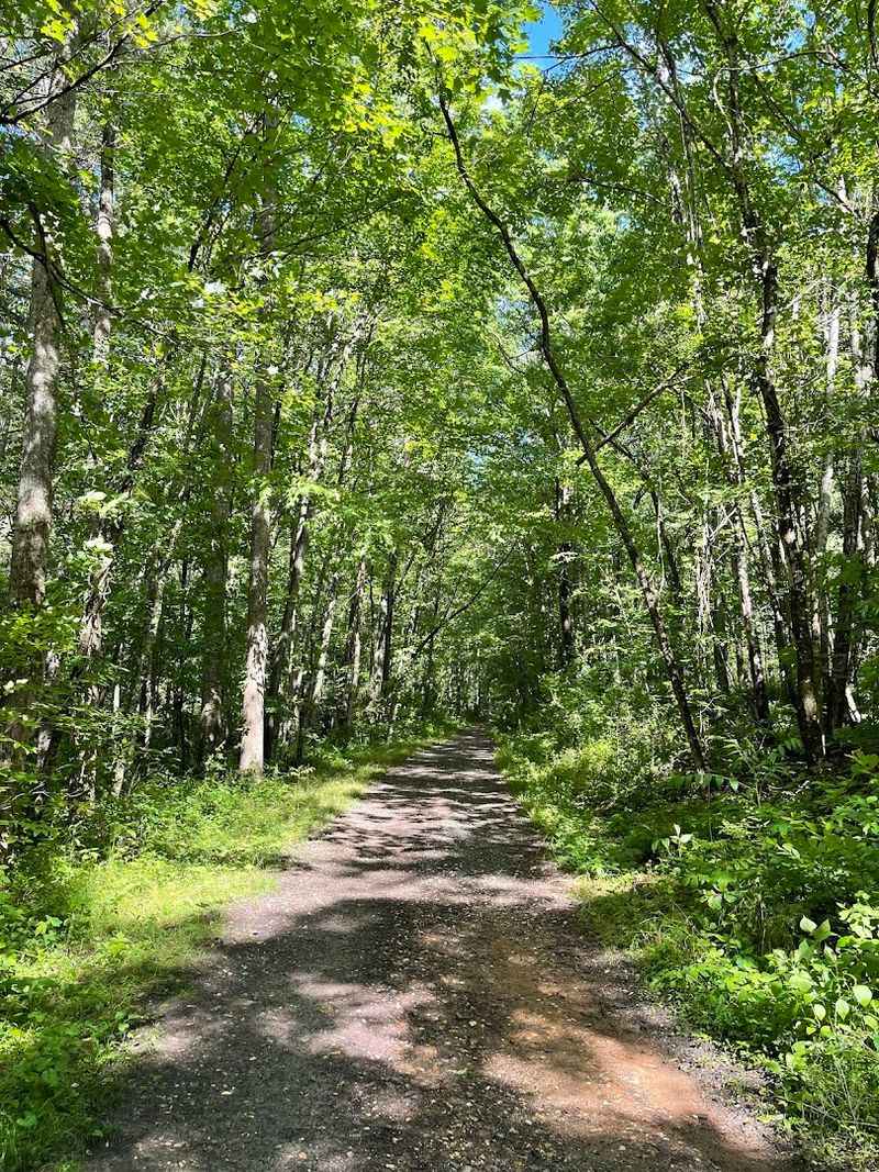 Bent Creek Experimental Forest