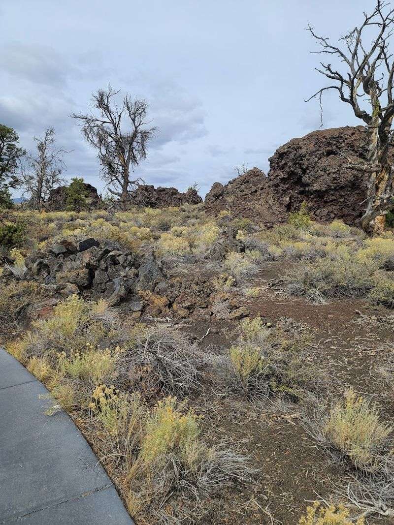 The High Desert Setting Around Town