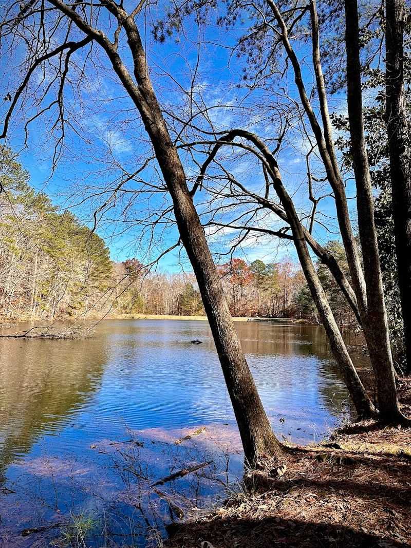 The Georgia Mountain Bike Trail That Feels Like Traveling Back In Time - Decor Hint Connection To Gravel Paths Along The River For Extra Miles