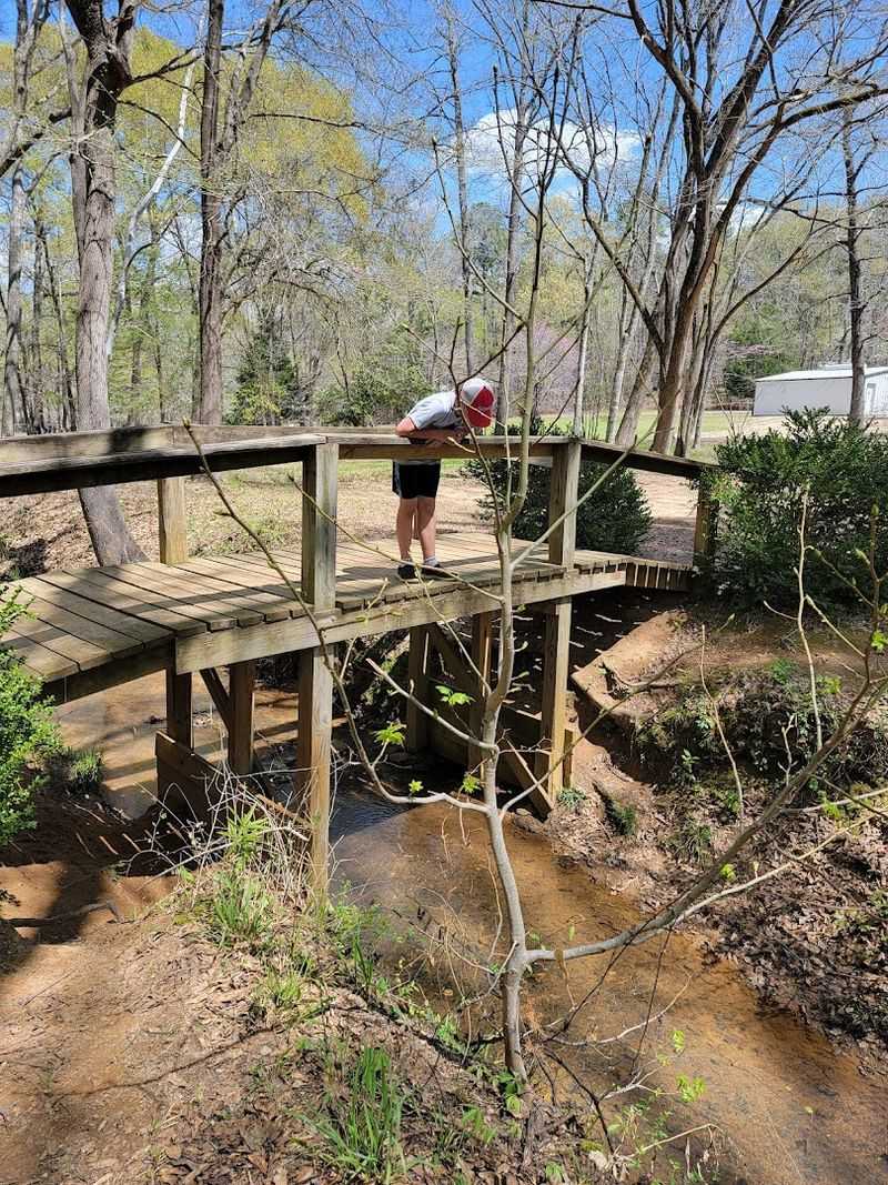 Wildlife Sightings Keep The Walk Feeling Alive