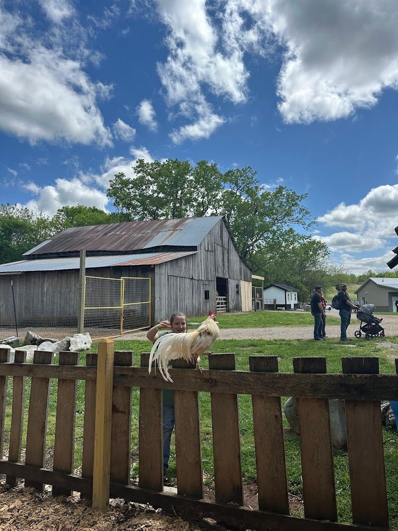 You'll Absolutely Fall In Love With This Peaceful Kentucky Park And Its Farm Animals - Decor Hint Perfect For All Ages, From Toddlers To Grandparents