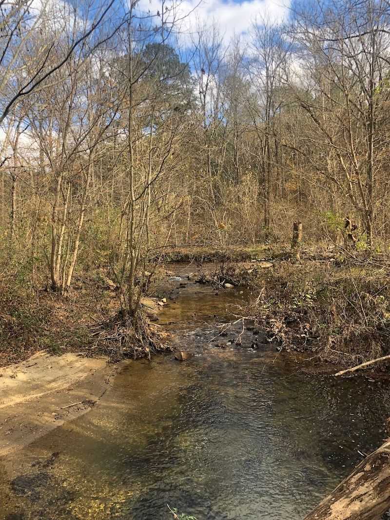 Pine Log Creek Trailhead - Rydal, GA 30171