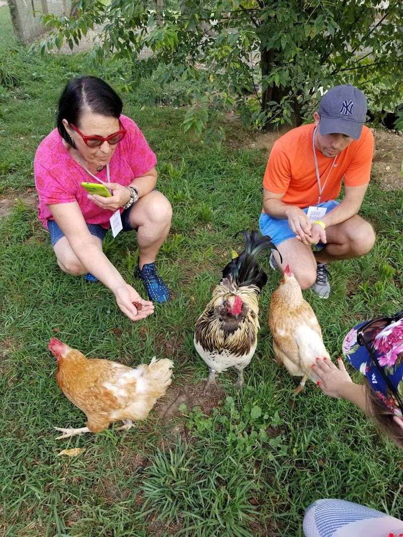 Volunteering And Getting Involved