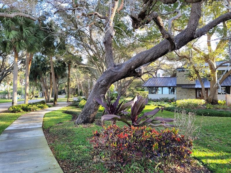 10 Budget-Friendly Florida Getaways That Feel Like A Real Vacation - Decor Hint Dunedin
