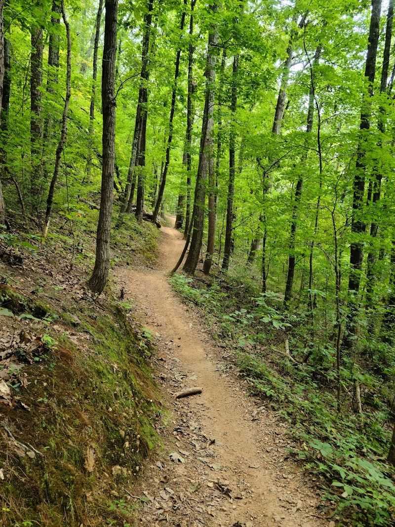 Stringer's Ridge, Chattanooga