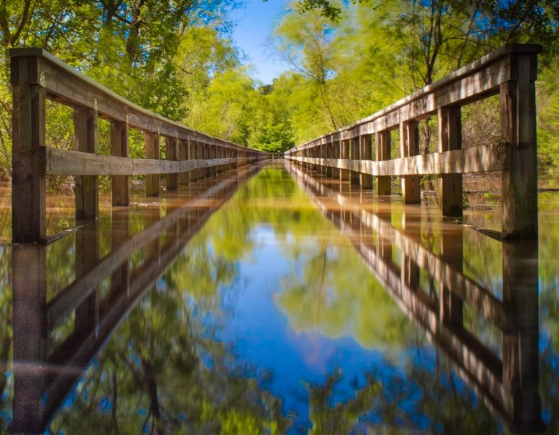Incredible Wildlife And Native Plant Life