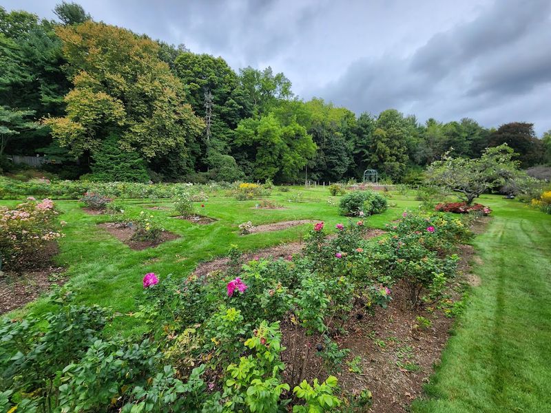 9 Connecticut Gardens That Feel Like Hidden Worlds - Decor Hint Pardee Rose Gardens, Hamden