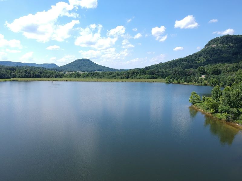 These 14 Kentucky Birdwatching Destinations Feel Like Hidden Front-Row Seats To Nature - Decor Hint Owsley Fork Reservoir