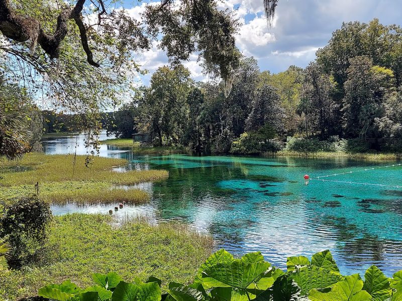 8 Florida Adventures That Start With A Full Tank And A Free Day - Decor Hint Rainbow Springs State Park, Dunnellon